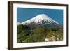 Mount Fuji from Kawaguchiko Lake in Japan-Vacclav-Framed Photographic Print