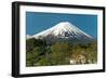 Mount Fuji from Kawaguchiko Lake in Japan-Vacclav-Framed Photographic Print