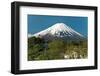 Mount Fuji from Kawaguchiko Lake in Japan-Vacclav-Framed Photographic Print