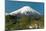 Mount Fuji from Kawaguchiko Lake in Japan-Vacclav-Mounted Photographic Print