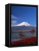 Mount Fuji, Honshu, Japan, Asia-Adina Tovy-Framed Stretched Canvas