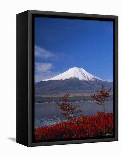 Mount Fuji, Honshu, Japan, Asia-Adina Tovy-Framed Stretched Canvas