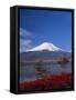 Mount Fuji, Honshu, Japan, Asia-Adina Tovy-Framed Stretched Canvas