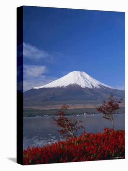 Mount Fuji, Honshu, Japan, Asia-Adina Tovy-Stretched Canvas