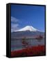 Mount Fuji, Honshu, Japan, Asia-Adina Tovy-Framed Stretched Canvas