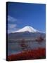 Mount Fuji, Honshu, Japan, Asia-Adina Tovy-Stretched Canvas