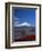 Mount Fuji, Honshu, Japan, Asia-Adina Tovy-Framed Photographic Print