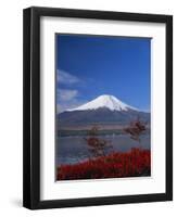 Mount Fuji, Honshu, Japan, Asia-Adina Tovy-Framed Photographic Print