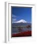 Mount Fuji, Honshu, Japan, Asia-Adina Tovy-Framed Photographic Print