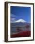 Mount Fuji, Honshu, Japan, Asia-Adina Tovy-Framed Photographic Print