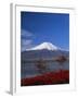 Mount Fuji, Honshu, Japan, Asia-Adina Tovy-Framed Photographic Print