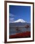 Mount Fuji, Honshu, Japan, Asia-Adina Tovy-Framed Photographic Print