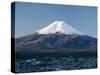 Mount Fuji, Honshu, Japan-null-Stretched Canvas