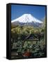 Mount Fuji, Honshu, Japan-null-Framed Stretched Canvas