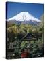 Mount Fuji, Honshu, Japan-null-Stretched Canvas