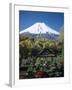 Mount Fuji, Honshu, Japan-null-Framed Premium Photographic Print