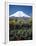 Mount Fuji, Honshu, Japan-null-Framed Premium Photographic Print