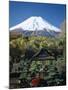 Mount Fuji, Honshu, Japan-null-Mounted Premium Photographic Print