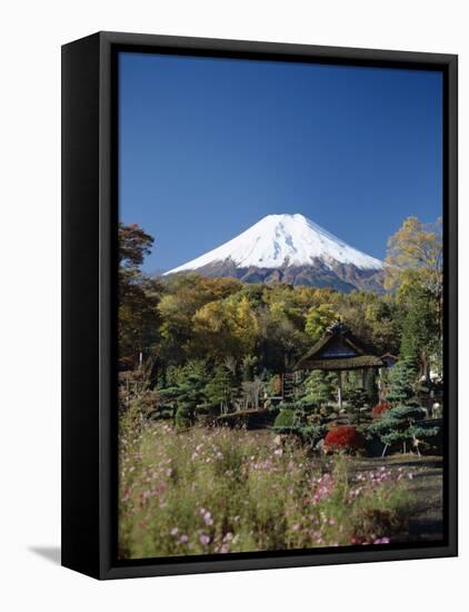 Mount Fuji, Honshu, Japan-null-Framed Stretched Canvas