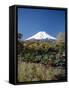 Mount Fuji, Honshu, Japan-null-Framed Stretched Canvas