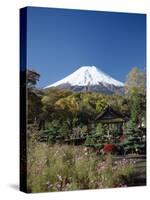 Mount Fuji, Honshu, Japan-null-Stretched Canvas