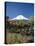 Mount Fuji, Honshu, Japan-null-Stretched Canvas