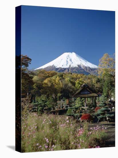 Mount Fuji, Honshu, Japan-null-Stretched Canvas