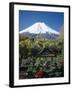 Mount Fuji, Honshu, Japan-null-Framed Photographic Print