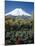 Mount Fuji, Honshu, Japan-null-Mounted Photographic Print