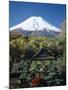 Mount Fuji, Honshu, Japan-null-Mounted Photographic Print