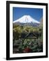 Mount Fuji, Honshu, Japan-null-Framed Photographic Print