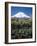 Mount Fuji, Honshu, Japan-null-Framed Photographic Print