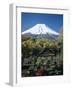 Mount Fuji, Honshu, Japan-null-Framed Photographic Print