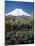 Mount Fuji, Honshu, Japan-null-Mounted Photographic Print