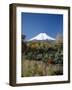 Mount Fuji, Honshu, Japan-null-Framed Photographic Print