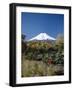 Mount Fuji, Honshu, Japan-null-Framed Photographic Print