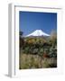 Mount Fuji, Honshu, Japan-null-Framed Photographic Print