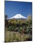 Mount Fuji, Honshu, Japan-null-Mounted Photographic Print