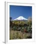 Mount Fuji, Honshu, Japan-null-Framed Photographic Print