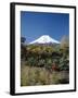 Mount Fuji, Honshu, Japan-null-Framed Photographic Print