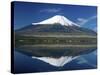 Mount Fuji Japan-null-Stretched Canvas