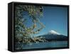 Mount Fuji, Japan-null-Framed Stretched Canvas