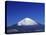 Mount Fuji, Japan-null-Stretched Canvas