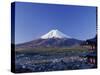 Mount Fuji, Japan-null-Stretched Canvas