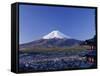 Mount Fuji, Japan-null-Framed Stretched Canvas