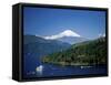 Mount Fuji Japan-null-Framed Stretched Canvas