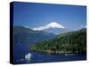 Mount Fuji Japan-null-Stretched Canvas