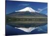 Mount Fuji Japan-null-Stretched Canvas