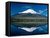 Mount Fuji, Lake Yamanaka, Fuji, Honshu, Japan-Steve Vidler-Framed Stretched Canvas