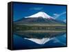 Mount Fuji, Lake Yamanaka, Fuji, Honshu, Japan-Steve Vidler-Framed Stretched Canvas